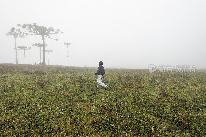 Serra Catarinense(里约热内卢Laranjeiras峡谷)